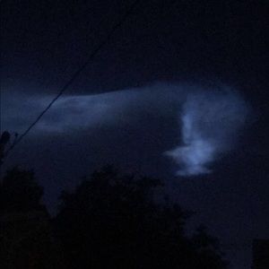 Meet your Posher, Vicky